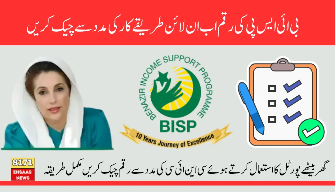 BISP Online Balance Check By CNIC Using 8171 Portal 2025 Know Complete Details Step By Step