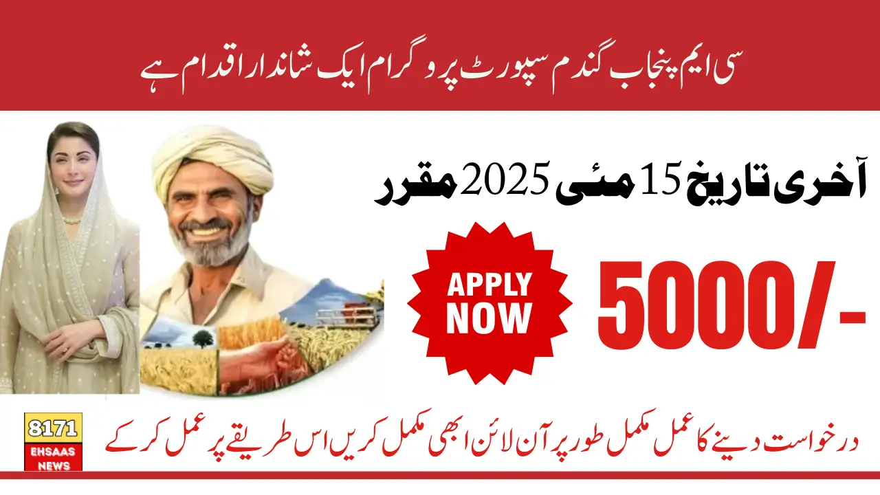 CM Punjab Wheat Support Program Online Apply For Avail 5000 Cash in May on Acre