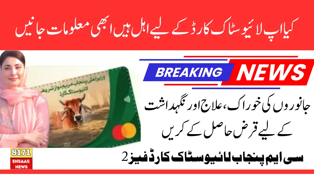 CM Punjab Livestock Card Phase 2 Open For New Joined People & Eligibility Criteria Condition