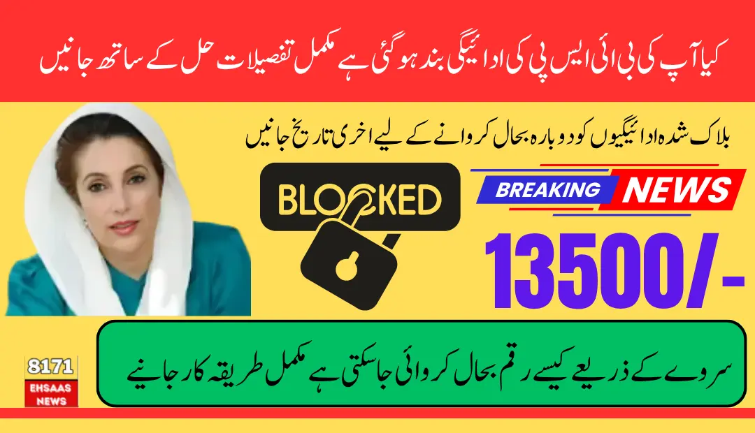 Step-by-Step Guide to Unblock Your BISP Payment With an Expired CNIC